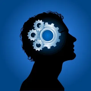 Did You Know - Channel Telegram