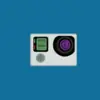 immagine profilo del group telegram di GoPro Italia