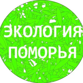 Экология Поморья. Северо-Запад - Канал Telegram