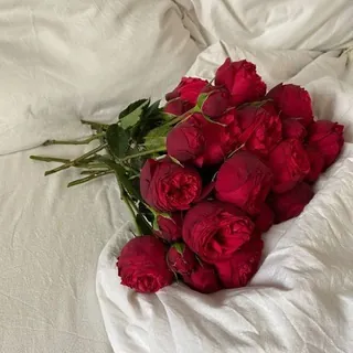 شَفَقٌ♥️` - قناة Telegram