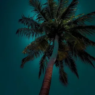 Poetic World 98 😘 - Channel Telegram