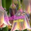Foto de perfil: 💐 Light Flowers com Fabi 💐🤍⚜️