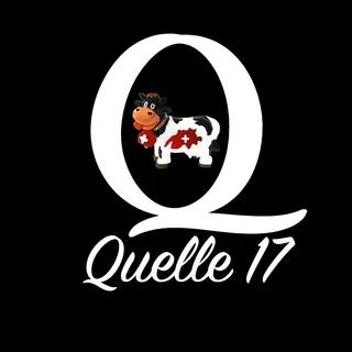 Quelle17 Schweiz🇨🇭 - Gruppe Telegram