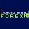 immagine profilo del channel telegram di Guadagnare sul Forex