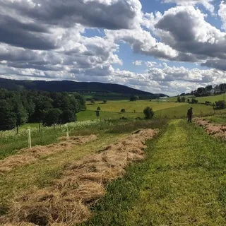 Paradiesgartenhof Hochsauerland🌄🌱🍎🌹🍒🪷🍓🌳 - Kanal Telegram