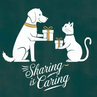 Sharing is caring Magdeburg - Gruppe Telegram