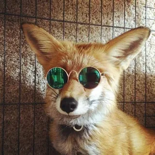 Fops Bot - Bot Telegram
