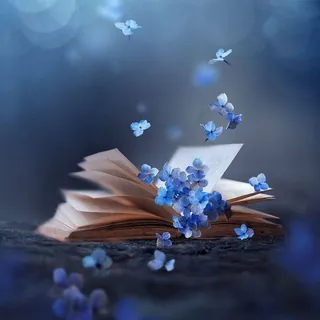 كـــتب ₎ ❁📚 - قناة Telegram