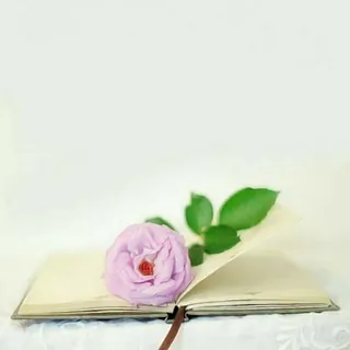 لِٰـۛৣـﯛ̲୭ز ﯛ̲୭سِٰـۛৣـڪِٰـۛৣـر - قناة Telegram
