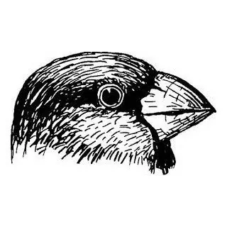 Lang Blocker Bot - Bot Telegram