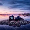 Profile picture: Photogallery