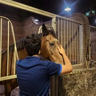 ﮼ ◝♯ۿۿوآجـيـس - قناة Telegram