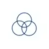 immagine profilo del group telegram di RAPPORTO VESICA