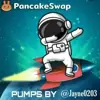 Profile picture: Pancakeswap Pump Community Group 🚀🚀