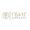 immagine profilo del channel telegram di ГБИГ МАЙНИНГ