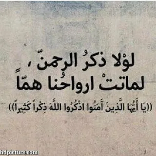 🎗الــذكـر طمأنـيـنـة القــلـ❤️ــب❤️ - قناة Telegram