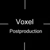 عکس پروفایل: Voxel Studios Postproduction