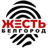immagine profilo del channel telegram di Жесть Белгород