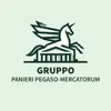immagine profilo del group telegram di Panieri Pegaso-Mercatorum-San Raffaele🔰