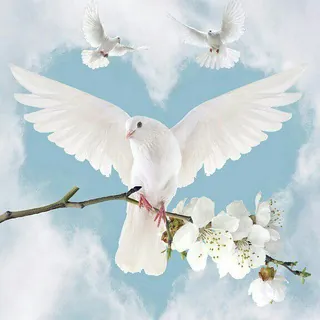Brieftaube🕊 - Bot Telegram