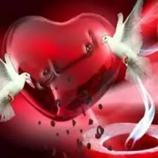 ❤ للمتزوجين فقط ❤ - قناة Telegram