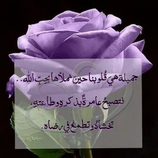 💗من كل💗بستان زهرة💗 - قناة Telegram