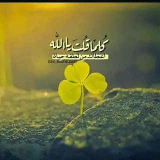 🌕معنا حياتك أجمل🌕 - قناة Telegram