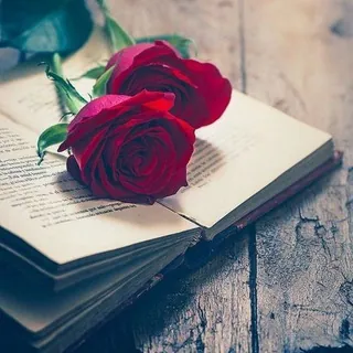 Prosa & Poesia - Canal Telegram
