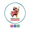 immagine profilo del channel telegram di Fantacalcio Angrese