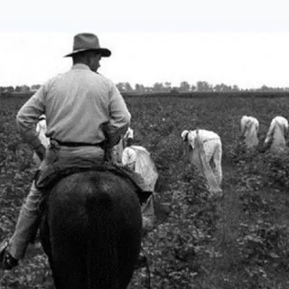 Doctors Farm قلعه پزشکان - کانال Telegram