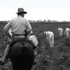 عکس پروفایل: Doctors Farm قلعه پزشکان