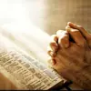 immagine profilo del group telegram di Christian Fellowship all over the World. (CFAOW)