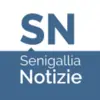 immagine profilo del channel telegram di Senigallia Notizie