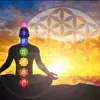 immagine profilo del channel telegram di Meditazione & Chakra