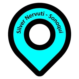 Silver Nervuti✔ - Canale Telegram