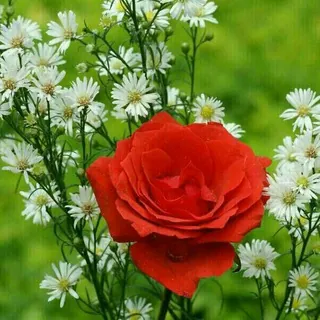 💡🍃نشر الخير للغير🍃💡 - قناة Telegram