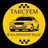 immagine profilo del group telegram di Таксуем в Калининграде