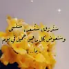 صورة الملف الشخصي: قناه برنامج حيث الانسان 7 بلقيس الفضائية برامج رمضانيه ليالي بلقيس جوائز نقدية بوت ارباح تليجرام hamster
