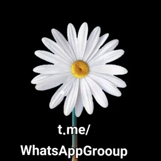 قناة نشر روابط مجموعات واتساب قناه روابط قروبات واتساب سعودية واتساب واتس وتس وتسب وتساب وات سب وتس أب روبط وتسب - قناة Telegram