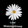 صورة الملف الشخصي: قناة نشر روابط مجموعات واتساب قناه روابط قروبات واتساب سعودية واتساب واتس وتس وتسب وتساب وات سب وتس أب روبط وتسب