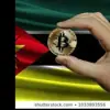 immagine profilo del group telegram di Bitcoin Mozambique Group