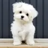 Profile picture: Cute and Fun Videos 🥰
