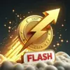 Profile picture: Crypto Flashing Flash Coins