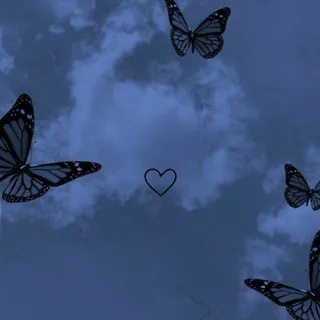 Sprüche und Bilder❤🌹✨ - Canale Telegram