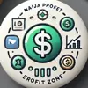Profile picture: Naija Profit Zone