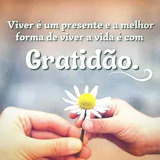 🙏🏻 𝗜𝗻𝗳𝗶𝗻𝗶𝘁𝗮 𝗚𝗿𝗮𝘁𝗶𝗱𝗮̃𝗼 🙏🏻 - Canal Telegram