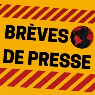 Brevesdepresse - Chaîne Telegram