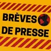 Photo de profil: Brevesdepresse
