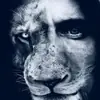 immagine profilo del channel telegram di LION Media