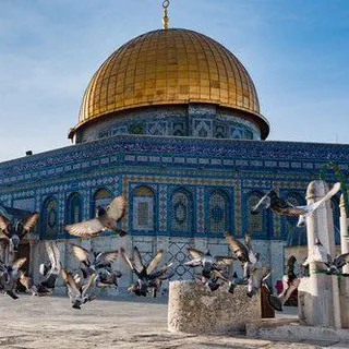 "الـأنٰـقَّـيِـاء💙✨" - قناة Telegram